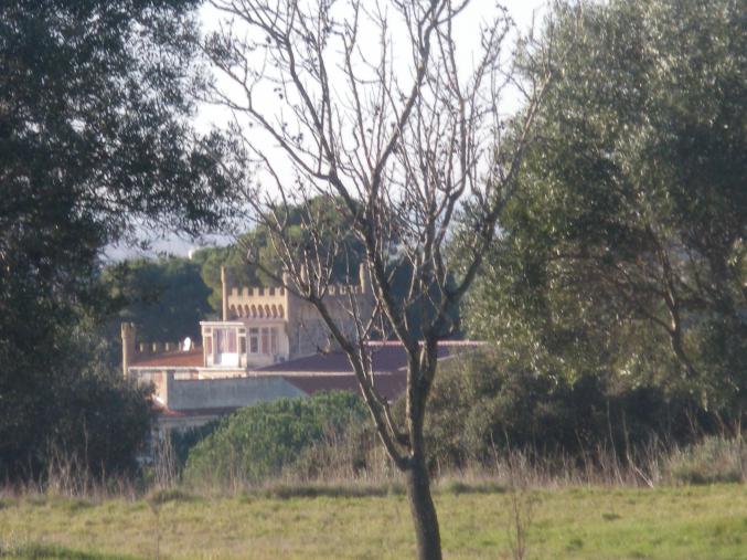 Portail + portillon pvc