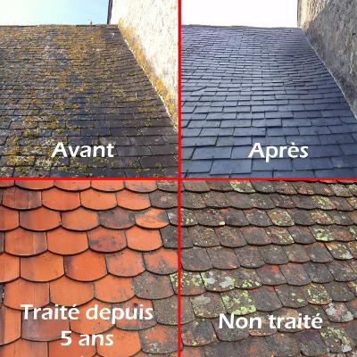 Demoussage entretien rénovation