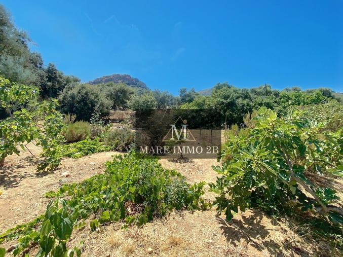 TERRAIN CONSTRUCTIBLE