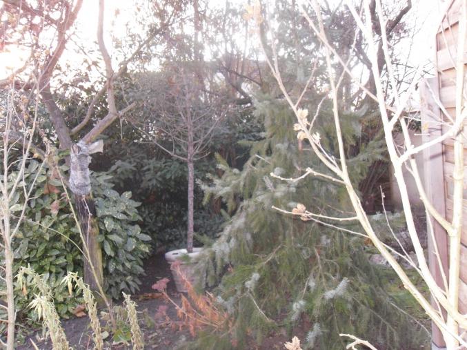 Gde maison refaite à neuf