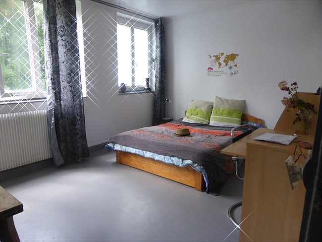 Coloc entre coloc mix calme propre calme