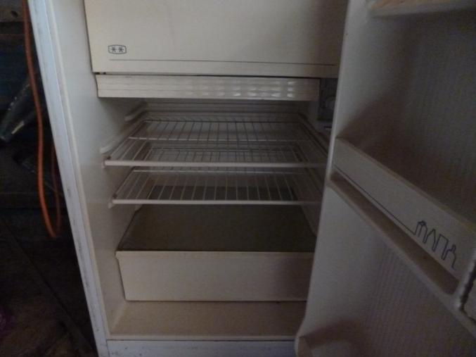 Frigo top