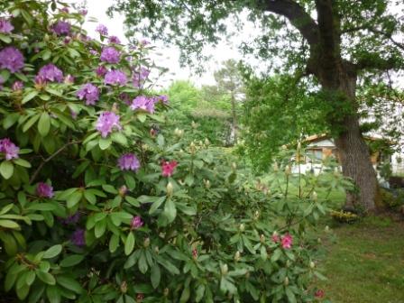 Vacances ou nuitées