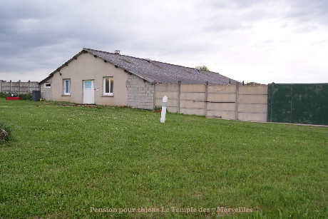 Pension canine et féline, éducation, toilettage, boutique à vendre