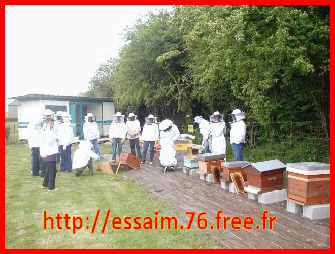 Formation en apiculture