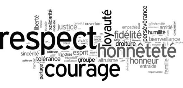 H ch emploi/job soigneur animalier logé