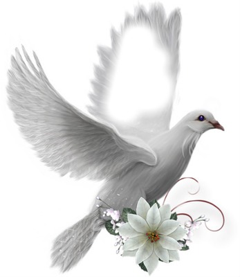 Nettoyage pierre tompbale