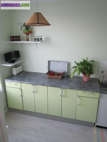 Appartement 35m2 ORLEANS