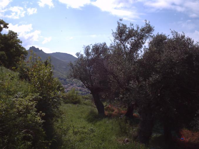 A SAISIR SUPERBE TERRAIN CONSTRUCTIBLE ET VIABILISE