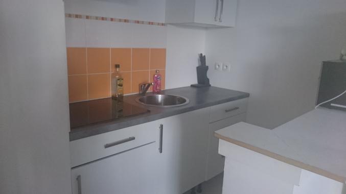 Apppartement t 2 sin le noble centre ville