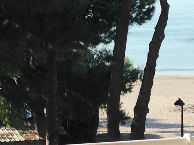 Grand et Beau F1 sur mer et Plage, standing et confort