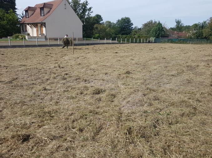 Terrain (s) à bâtir