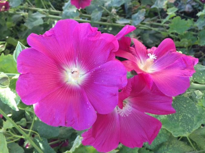 Aide / accompagnement de la personne