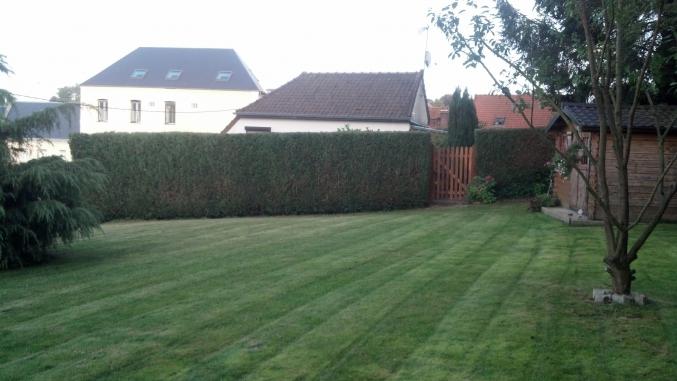 Abattage, Elagage, entretien espaces verts, jardin