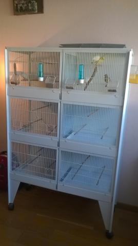 Vend batterie pour canaris ou exotiques