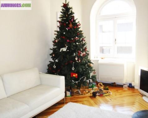 Mon appart à Madrid contre un appart à Paris