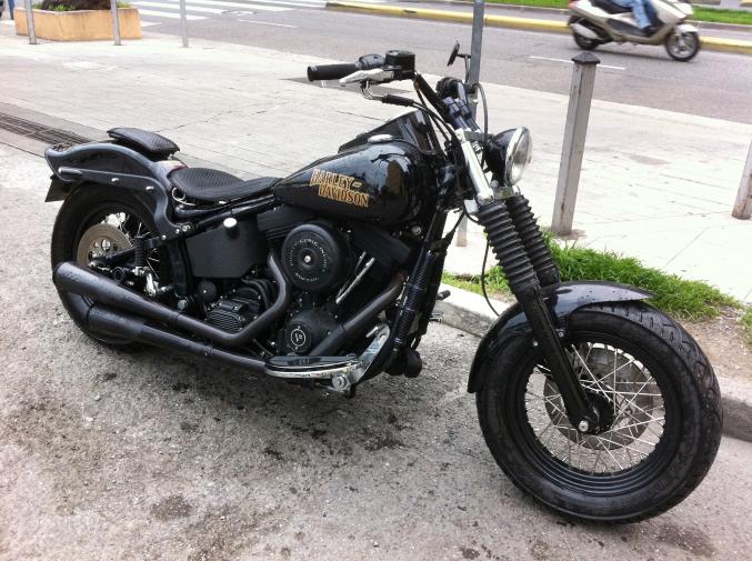 Harley davidson softail
