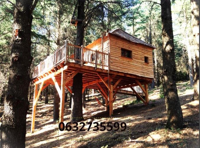 Cabane perchée dans un foret de cèdres
