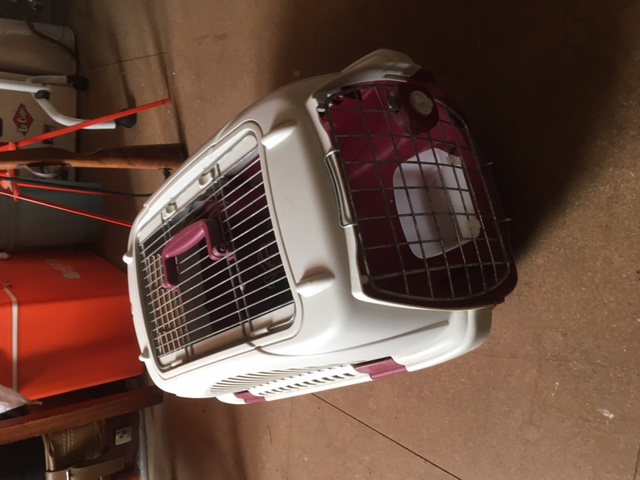 Caisse à chat et chiens