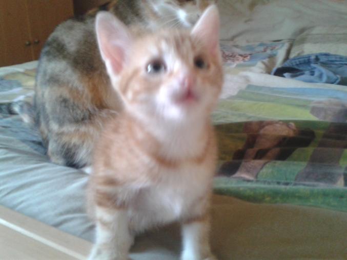 Donne contre bons soins