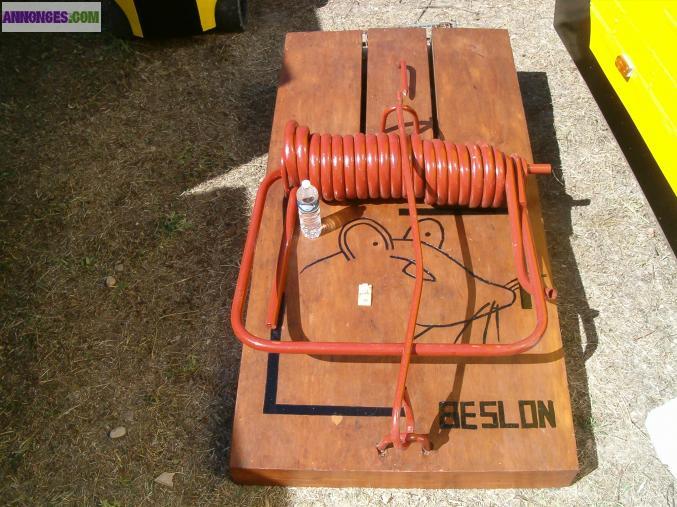 Objets du Guiness Records