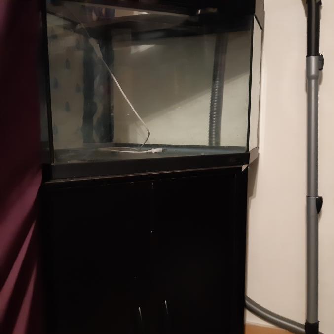 Meuble aquarium