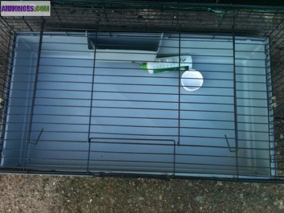 Grande cage lapin cochon d inde