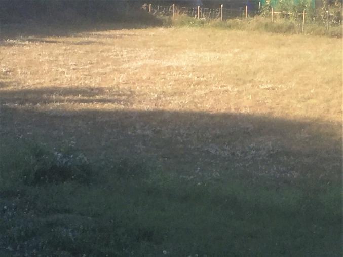 Terrain constructible 1400 m²