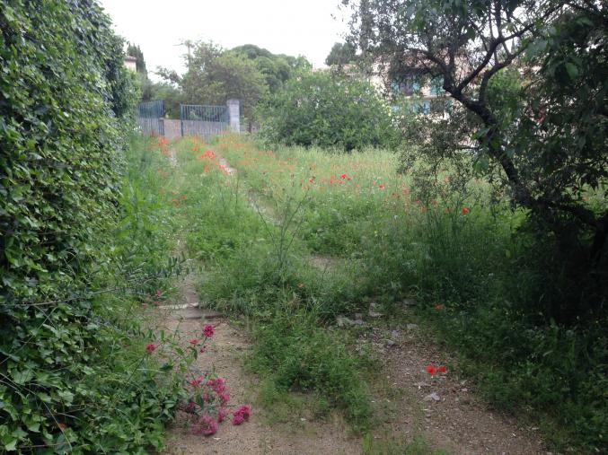 Terrain Nîmes Montée des Alpins