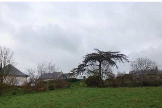 Vente terrains viabilisés