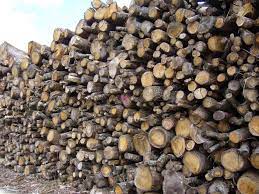 Vente du bois de chauffage