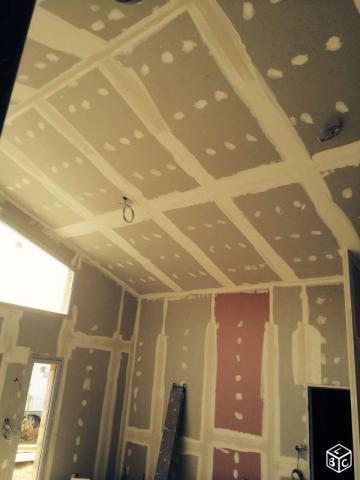 Plaquiste / placoplatre