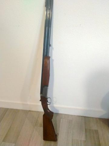 Fusil de chasse