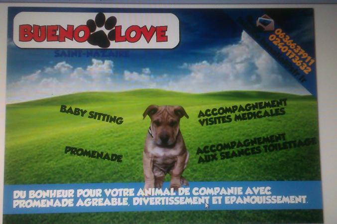 BABY SITTING ANIMAUX COMPAGNIES