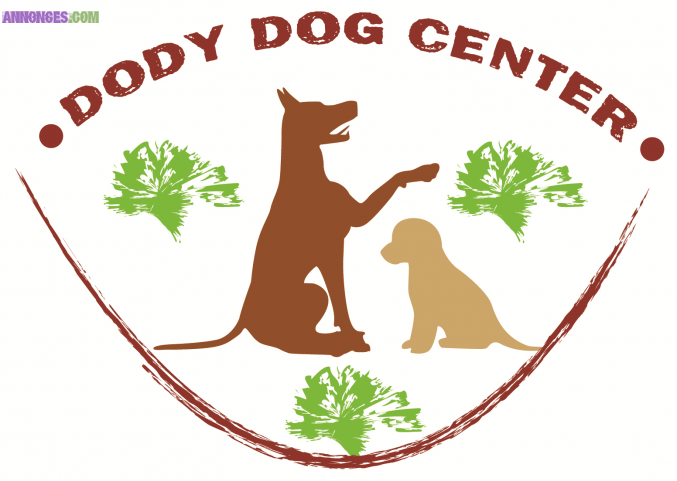 Education canine dressage comportement canin