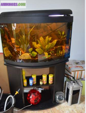 Aquarium complet