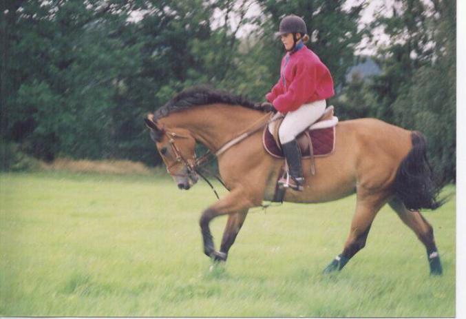 Monitrice d'equitation propose cours et stages