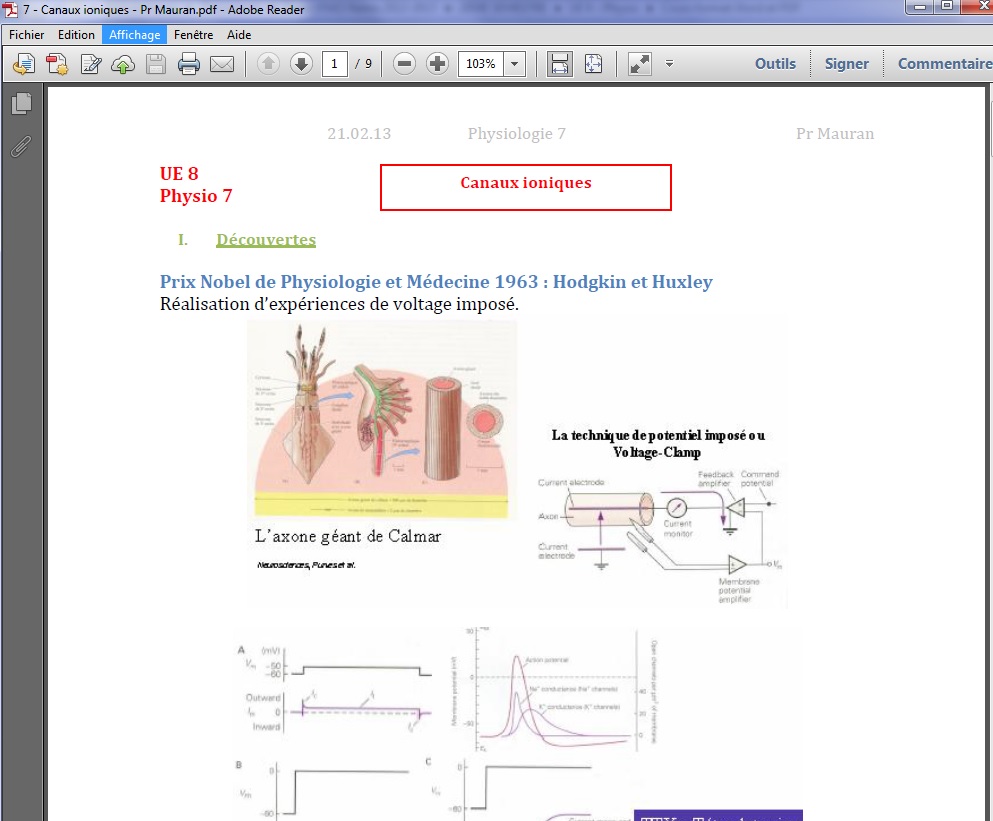 Cours de première année de médecine PAES Reims