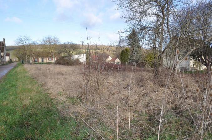 TERRAIN A BÂTIR DANS L YONNE 
