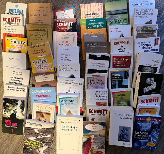 Lot de livres - romans