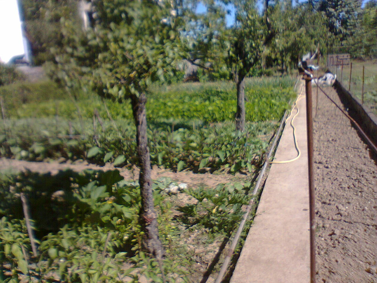 Villa des années 30, avec une véranda rt potager à REALMONT (1 H 10 de TOULOUSE)