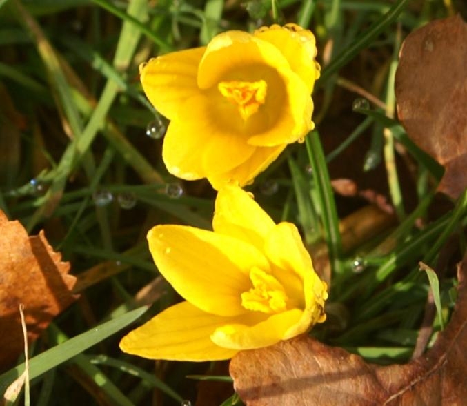 Recherche famille de coeur sur le 13