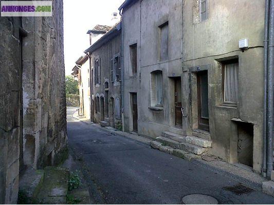 Maison de ville  de 220 m² et  800 m² de jardin au bord de la rivière