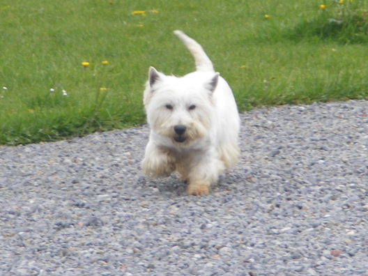 CASSIS PREND SA RETRAITE