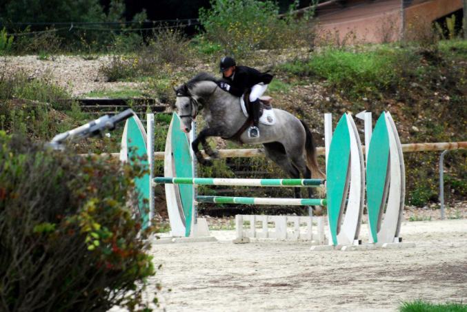 Propose 1/3 ou 1/2 pension sur PSA de 8 ans