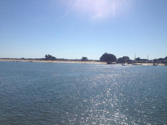 Coiffeur à domicile