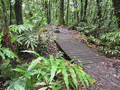 JE PROPOSE MES SERVICES