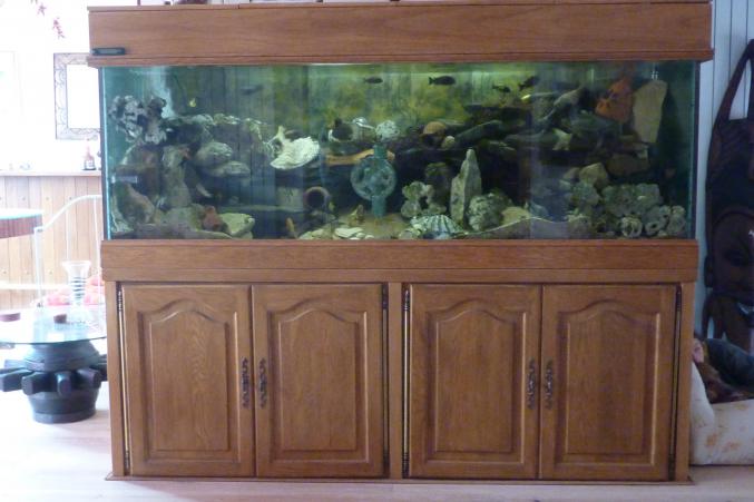 Aquarium 830L chêne - Dim totale 207x65 ht 166