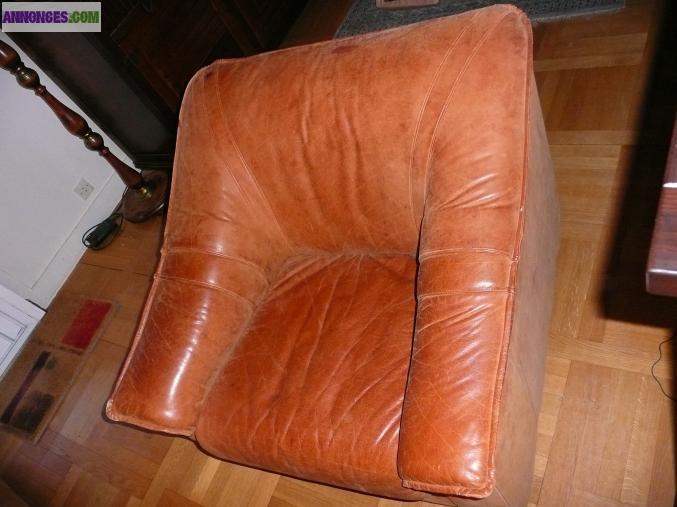 CANAPE 3 places CUIR de BUFFLE MARRON