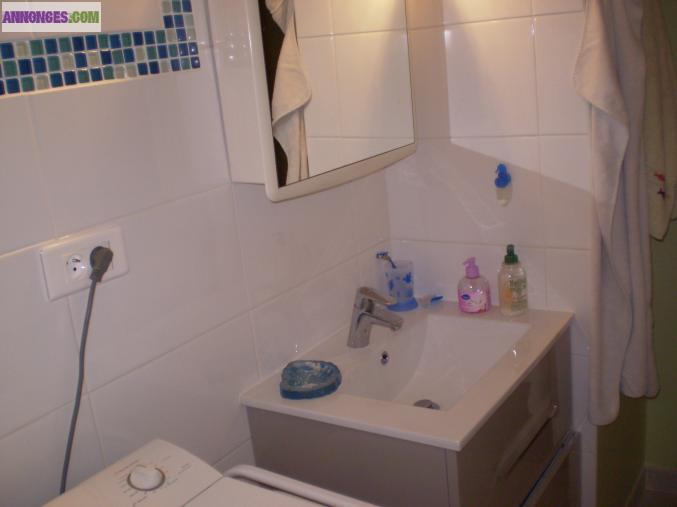 LUCHON A LOUER APPART T2 RDC JARDIN